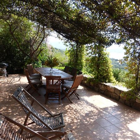 Villas Valinco San Martinu Corse Du Sud - Vue Et Proche Mer - Piscines-7 Chambres 奥尔梅托 客房 照片