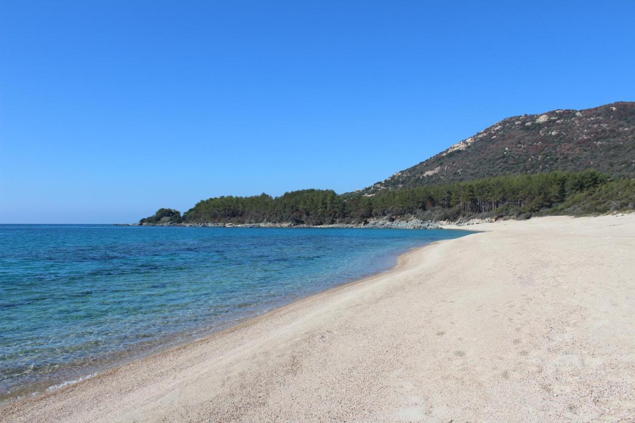 Villas Valinco San Martinu Corse Du Sud - Vue Et Proche Mer - Piscines-7 Chambres 奥尔梅托 外观 照片