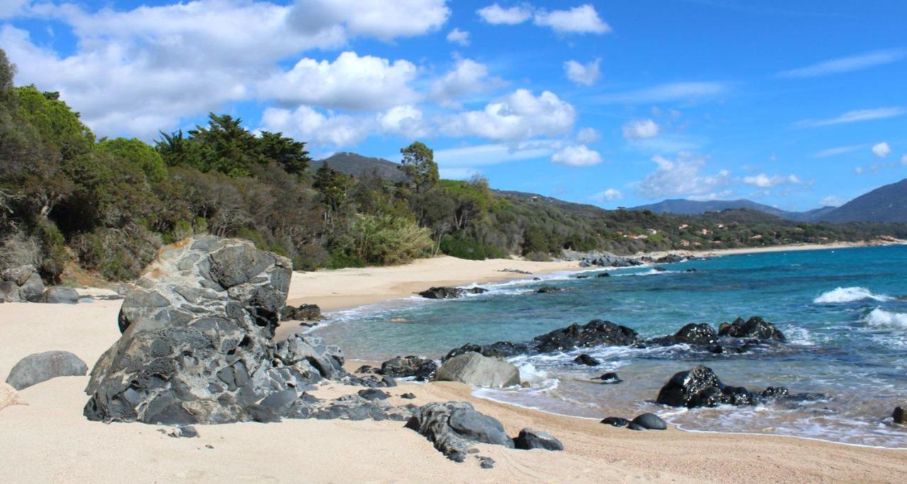 Villas Valinco San Martinu Corse Du Sud - Vue Et Proche Mer - Piscines-7 Chambres 奥尔梅托 外观 照片