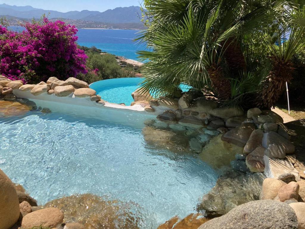 Villas Valinco San Martinu Corse Du Sud - Vue Et Proche Mer - Piscines-7 Chambres 奥尔梅托 外观 照片