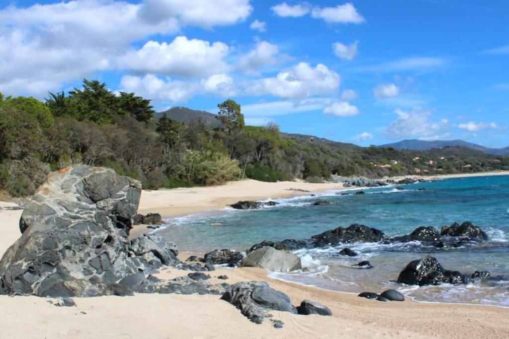 Villas Valinco San Martinu Corse Du Sud - Vue Et Proche Mer - Piscines-7 Chambres 奥尔梅托 外观 照片