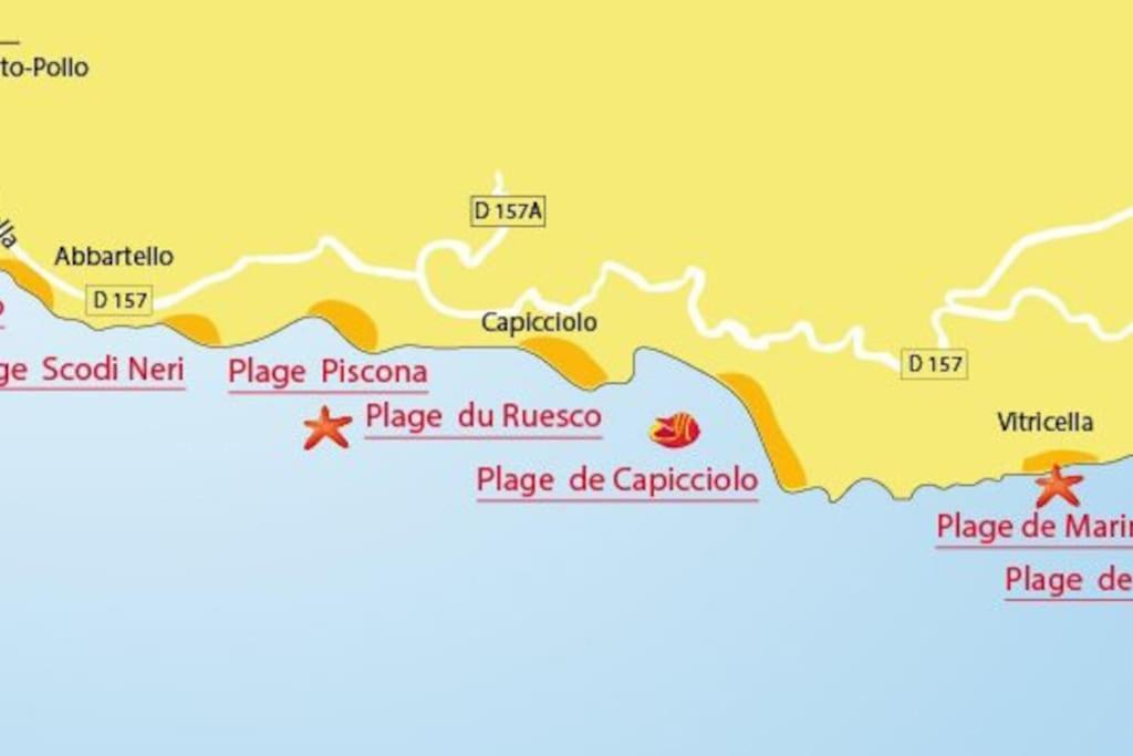 Villas Valinco San Martinu Corse Du Sud - Vue Et Proche Mer - Piscines-7 Chambres 奥尔梅托 外观 照片